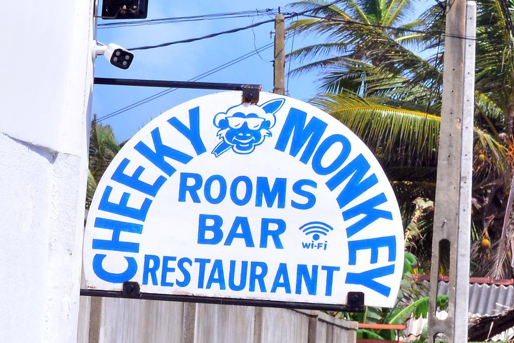Hotel Cheeky Monkey Surf Camp Weligama Exteriér fotografie