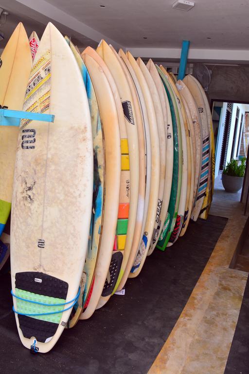 Hotel Cheeky Monkey Surf Camp Weligama Exteriér fotografie